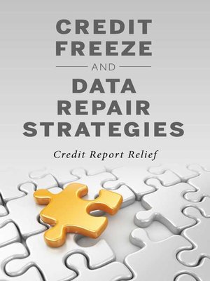 cover image of Credit Freeze and Data Repair Strategies
